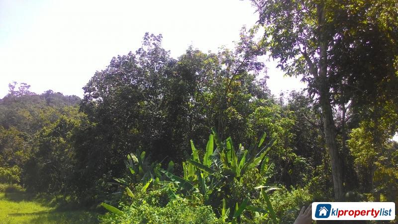 Agricultural Land for sale in Dengkil - image 2