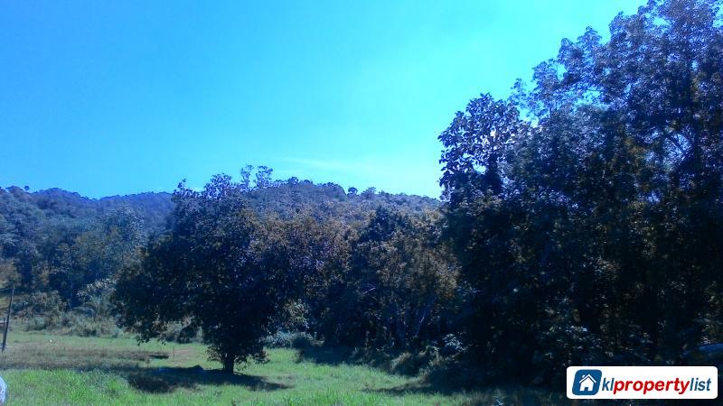 Agricultural Land for sale in Dengkil - image 3