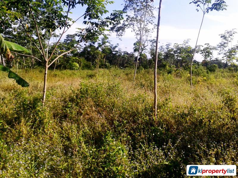 Agricultural Land for sale in Alor Setar