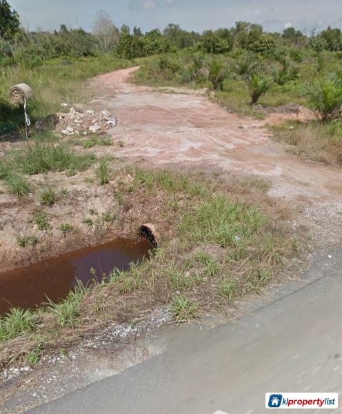 Picture of Agricultural Land for sale in Johor Bahru in Johor