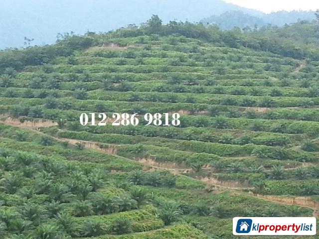 Pictures of Agricultural Land for sale in Seremban