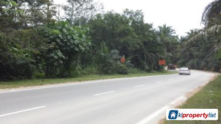 Pictures of Agricultural Land for sale in Seremban