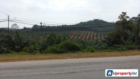 Agricultural Land for sale in Seremban - image 2