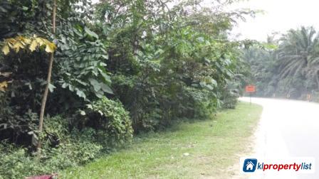 Agricultural Land for sale in Seremban - image 3