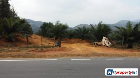 Agricultural Land for sale in Seremban - image 3