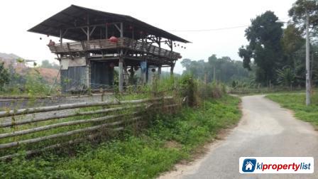 Agricultural Land for sale in Seremban - image 3