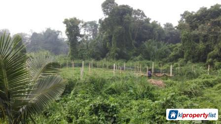 Agricultural Land for sale in Seremban - image 4