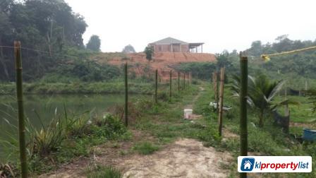 Agricultural Land for sale in Seremban - image 5