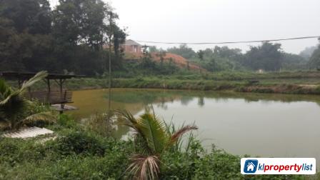 Agricultural Land for sale in Seremban - image 6