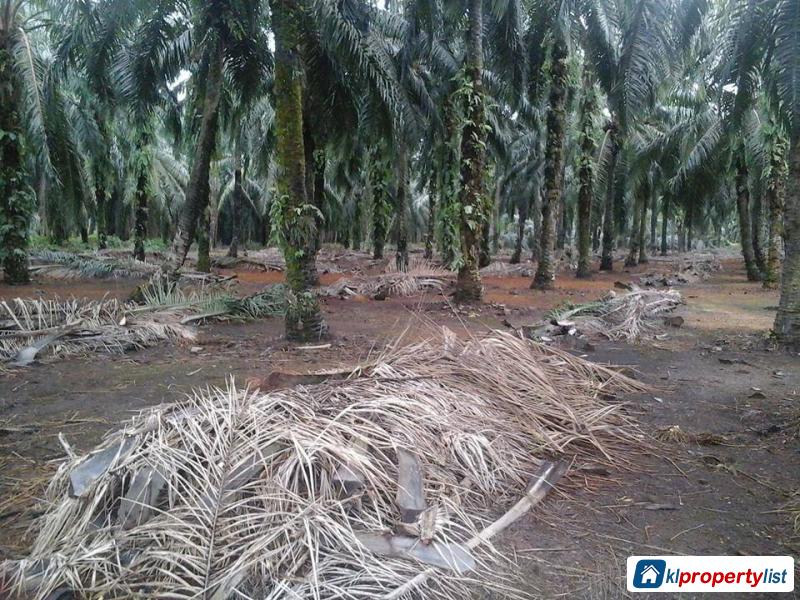 Residential Land for sale in Serendah - image 2