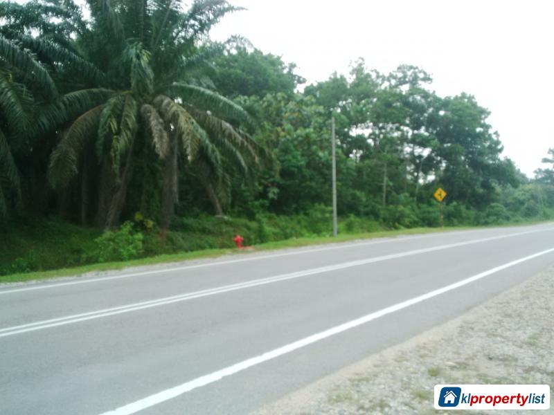 Picture of Residential Land for sale in Kuala Terengganu in Terengganu