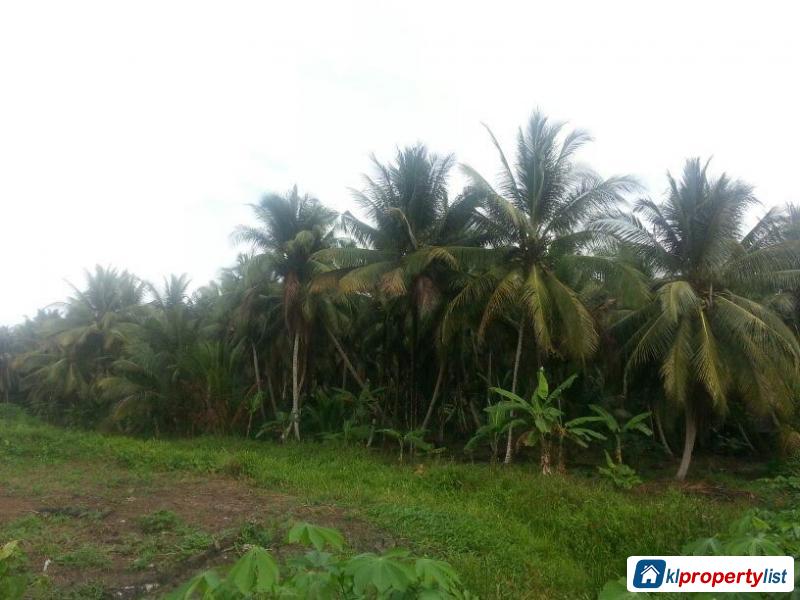 Agricultural Land for sale in Kuching - image 2