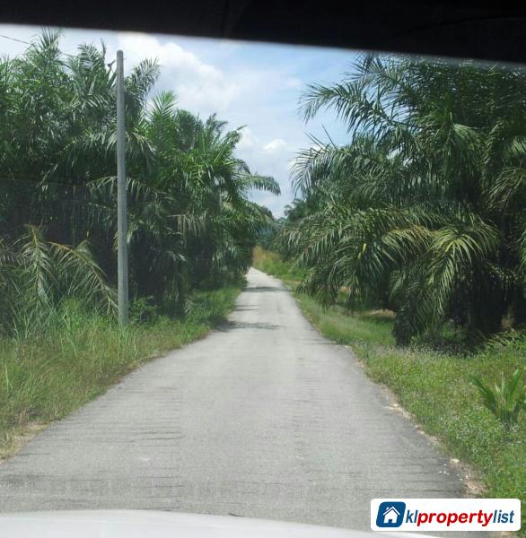Agricultural Land for sale in Ampang - image 2