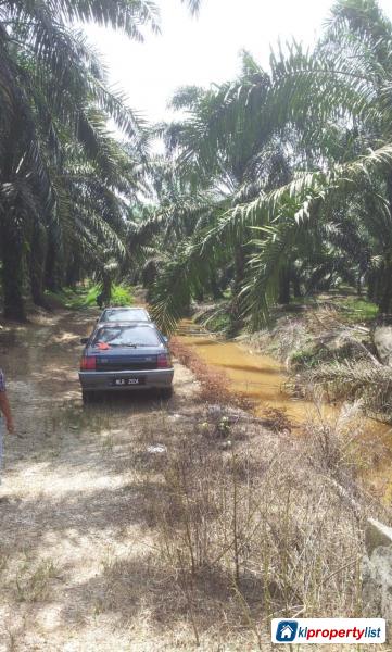 Agricultural Land for sale in Ampang - image 3