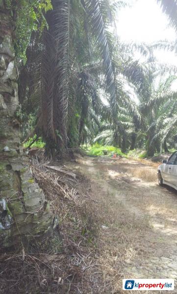 Agricultural Land for sale in Ampang - image 4