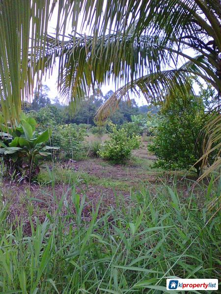 Agricultural Land for sale in Kuching - image 2