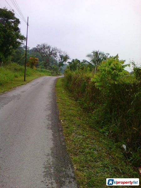 Agricultural Land for sale in Kuching - image 3