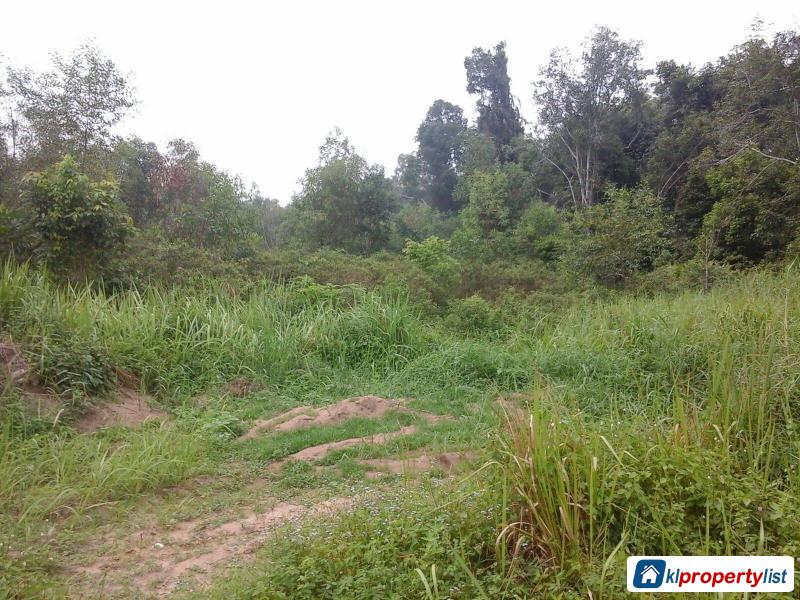 Agricultural Land for sale in Kuantan - image 2