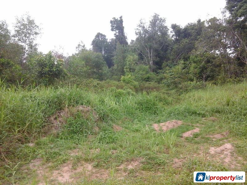 Agricultural Land for sale in Kuantan - image 3
