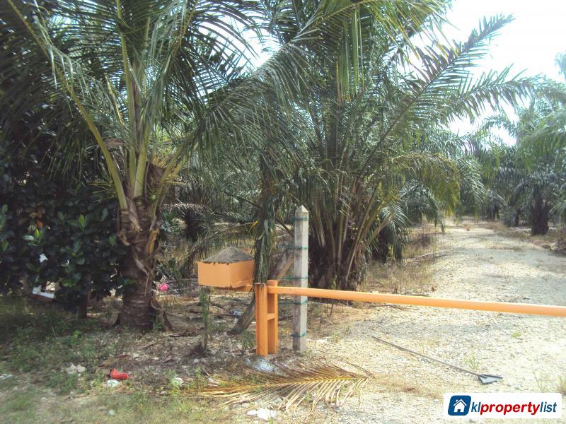 Picture of Agricultural Land for sale in Muar