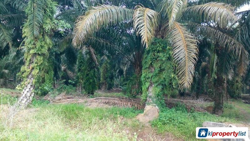 Picture of Agricultural Land for sale in Muar