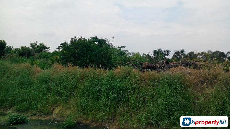 Pictures of Agricultural Land for sale in Muar
