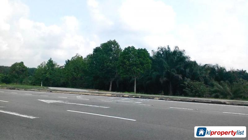 Picture of Agricultural Land for sale in Muar