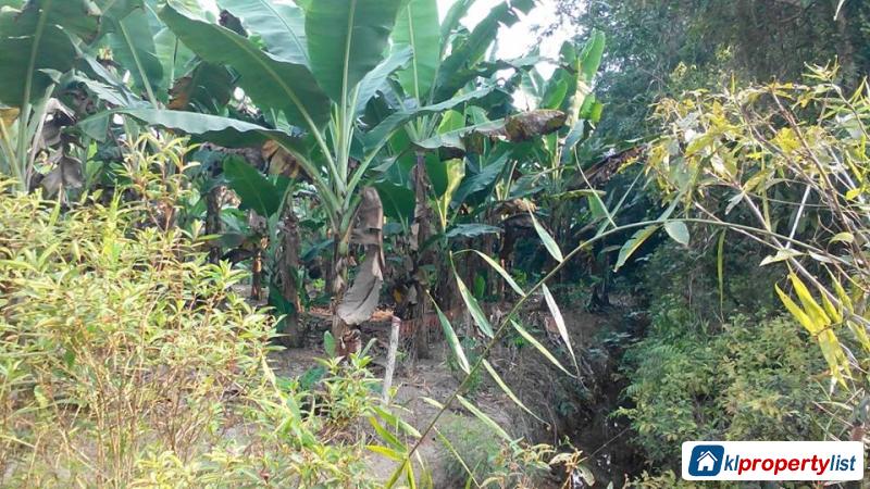 Pictures of Agricultural Land for sale in Muar