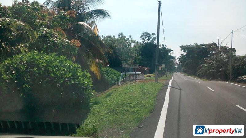 Pictures of Agricultural Land for sale in Muar
