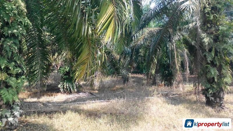 Picture of Agricultural Land for sale in Muar