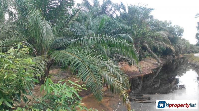 Agricultural Land for sale in Muar - image 2