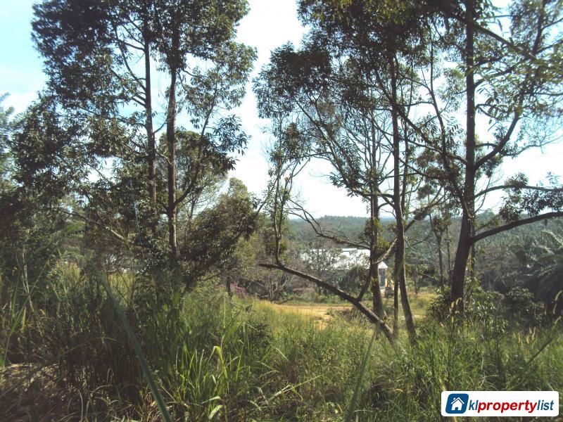 Agricultural Land for sale in Muar