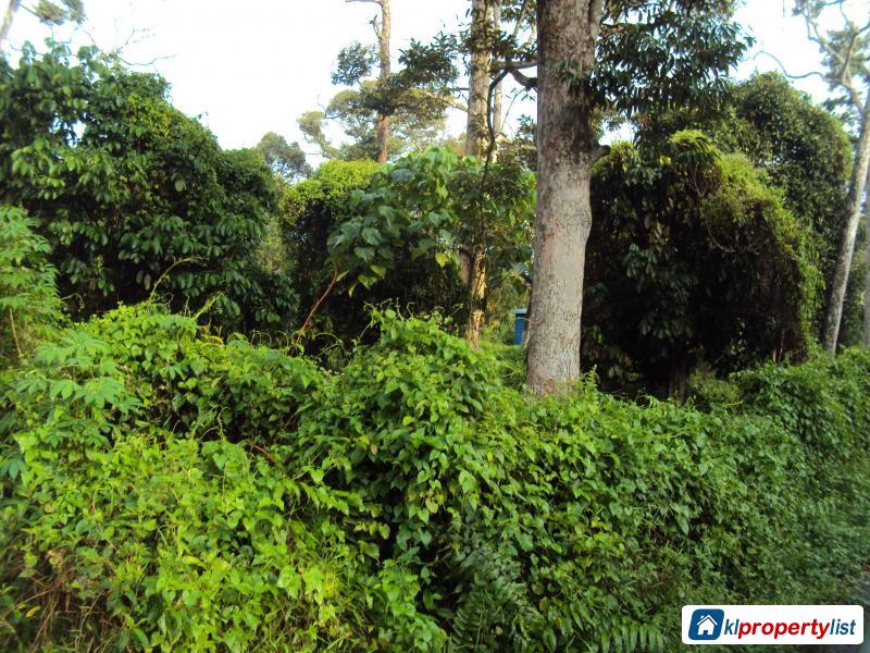 Agricultural Land for sale in Muar - image 2