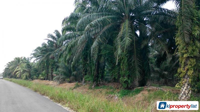 Agricultural Land for sale in Muar