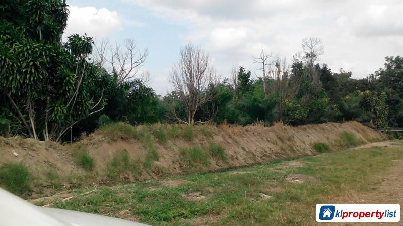Agricultural Land for sale in Muar - image 2
