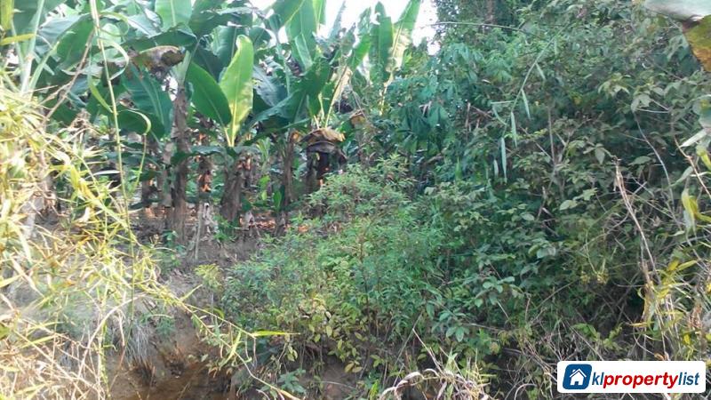 Agricultural Land for sale in Muar - image 2