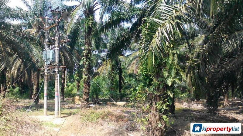 Agricultural Land for sale in Muar - image 2