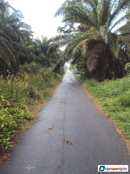 Agricultural Land for sale in Muar - image 3