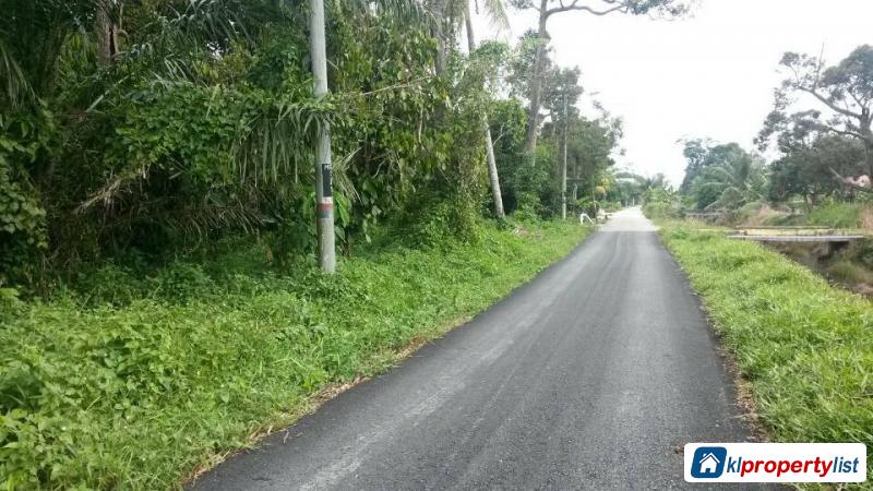 Agricultural Land for sale in Muar - image 3