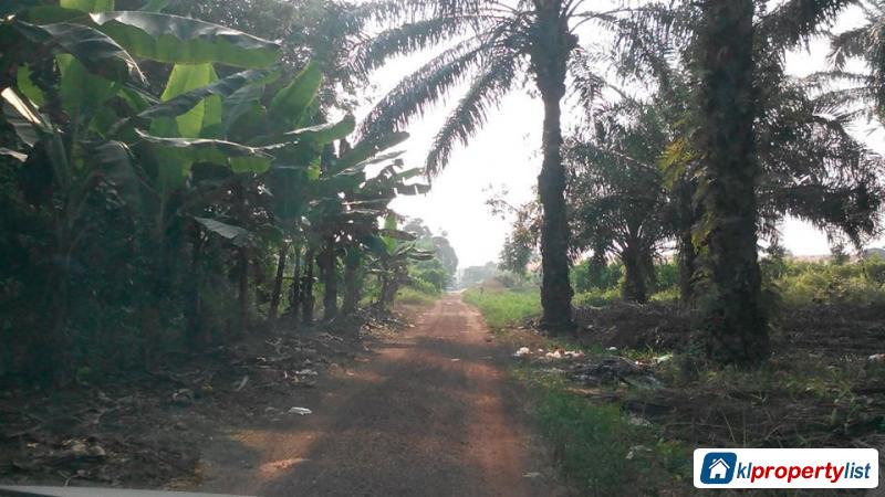 Agricultural Land for sale in Muar - image 3