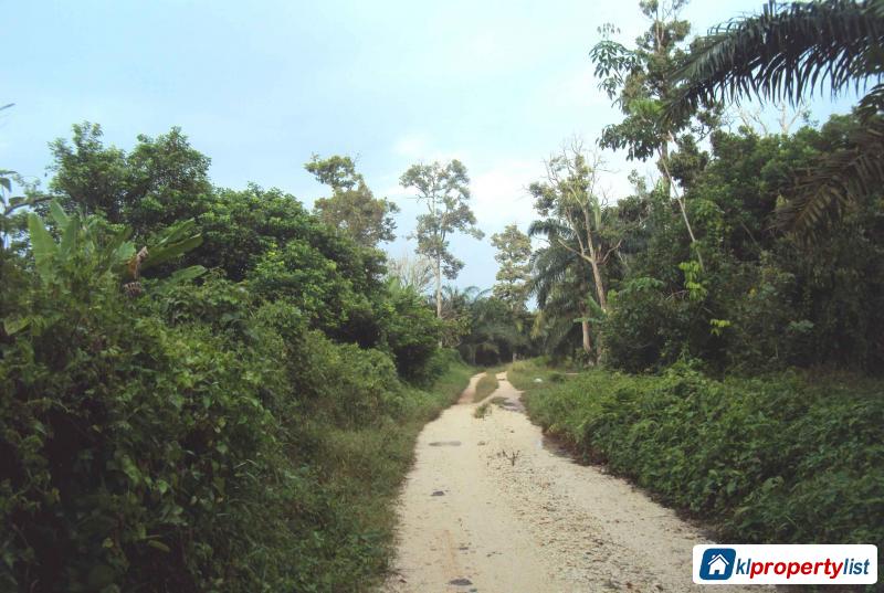 Agricultural Land for sale in Muar - image 4
