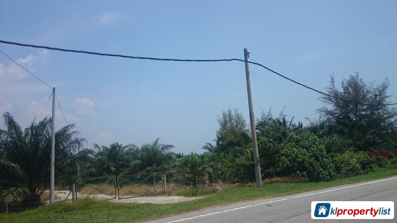 Pictures of Agricultural Land for sale in Banting