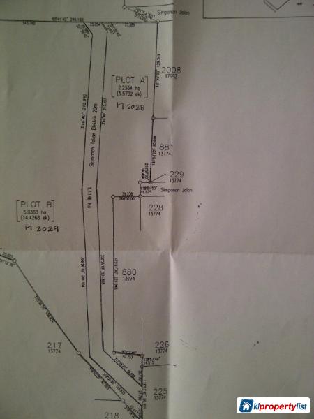 Agricultural Land for sale in Banting - image 3