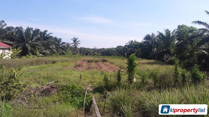 Agricultural Land for sale in Kuala Selangor - image 2