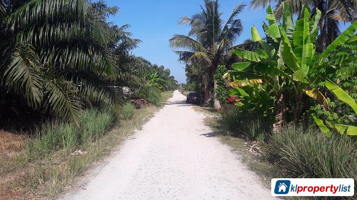 Agricultural Land for sale in Kuala Selangor - image 3
