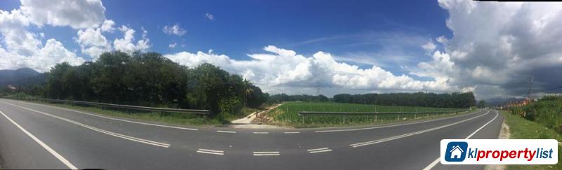 Agricultural Land for sale in Ipoh - image 3