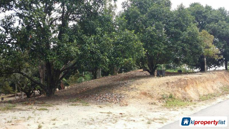 Agricultural Land for sale in Puchong - image 3