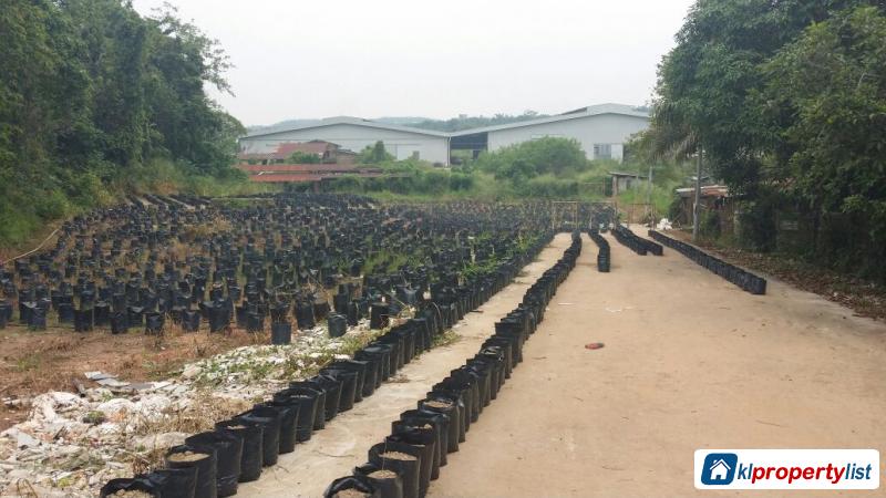 Industrial Land for sale in Kuantan - image 3