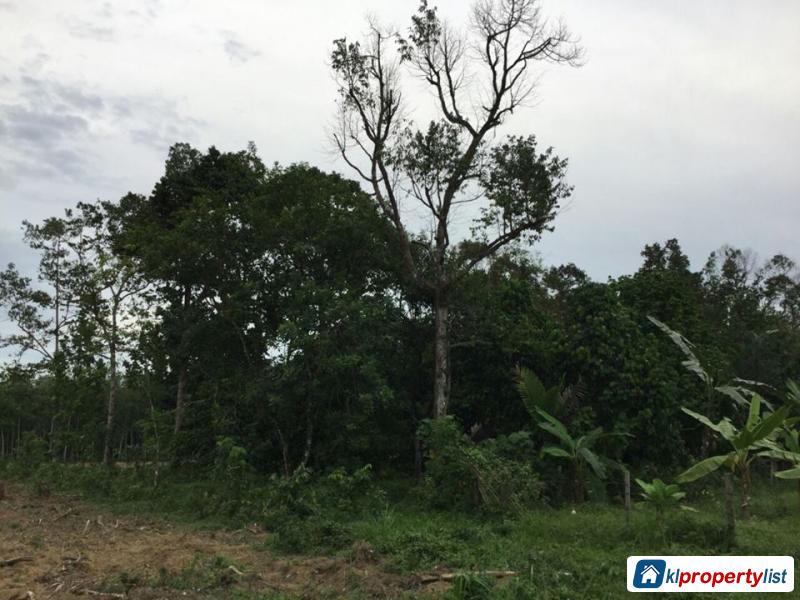Picture of Agricultural Land for sale in Selinsing