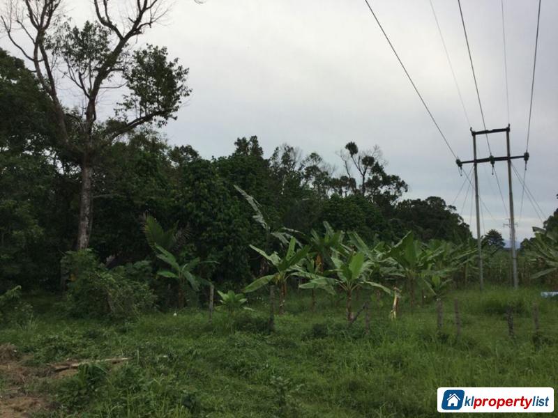 Agricultural Land for sale in Selinsing